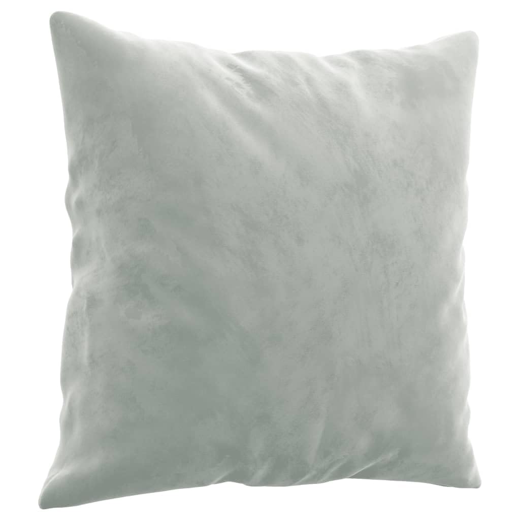 Light Gray Velvet 2 Piece Sofa Set with Throw Pillows X488403
