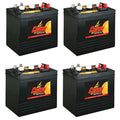 6 Volt Battery 4 Pack E253174