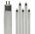 24 Inch 24W 4100K Cool White T5 Fluorescent Bulb Pack of 6 C1798
