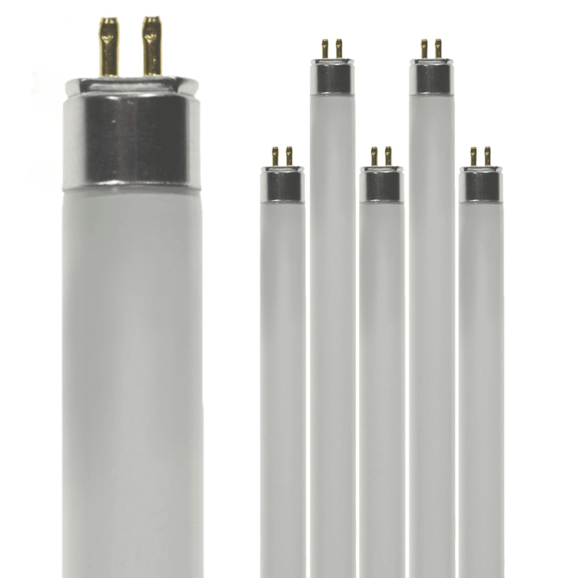 24 Inch 24W 4100K Cool White T5 Fluorescent Bulb Pack of 6 C1798