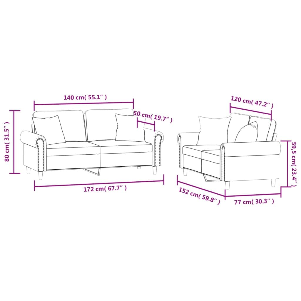 Light Gray Velvet 2 Piece Sofa Set with Throw Pillows X488403