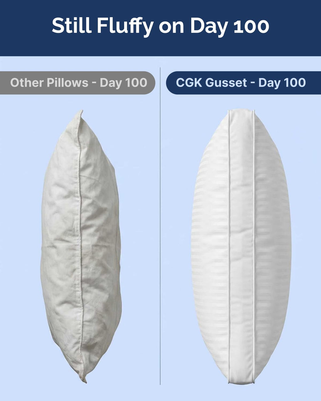 King Size Gusset Pillows Set of 2 B553692