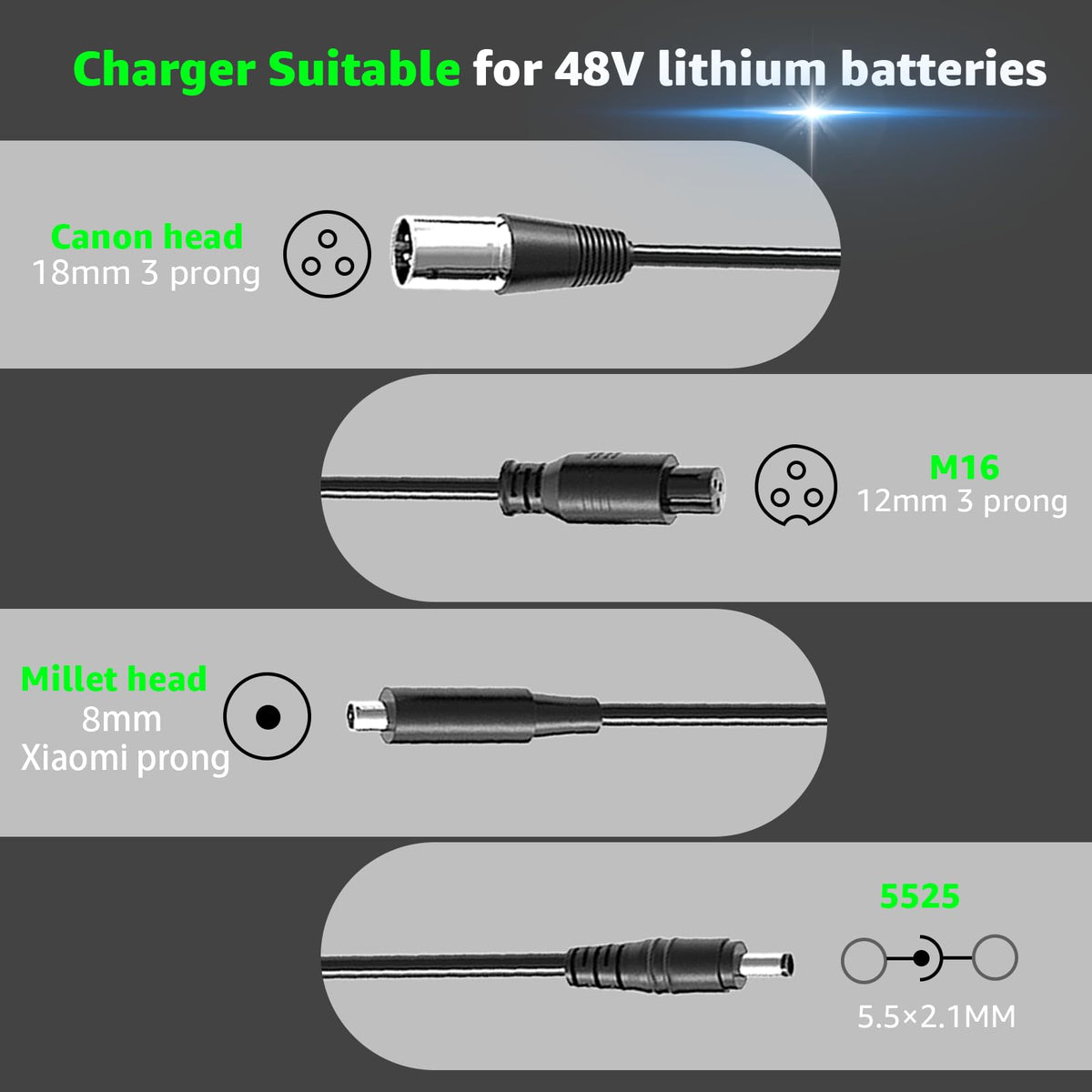 54.6V 2A Electric Bike Charger T669