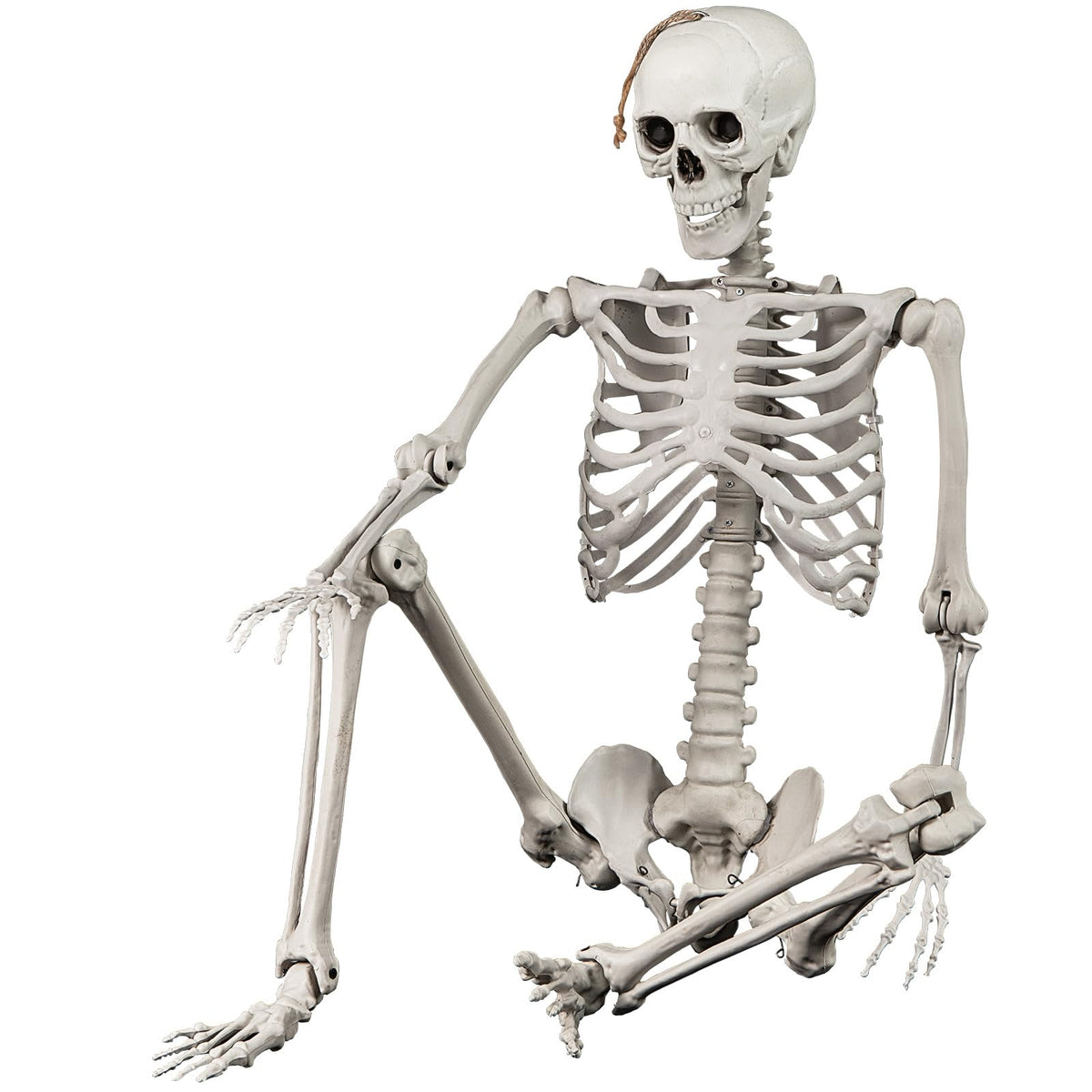 5.4 FT Life Size Posable Skeleton Decoration B499
