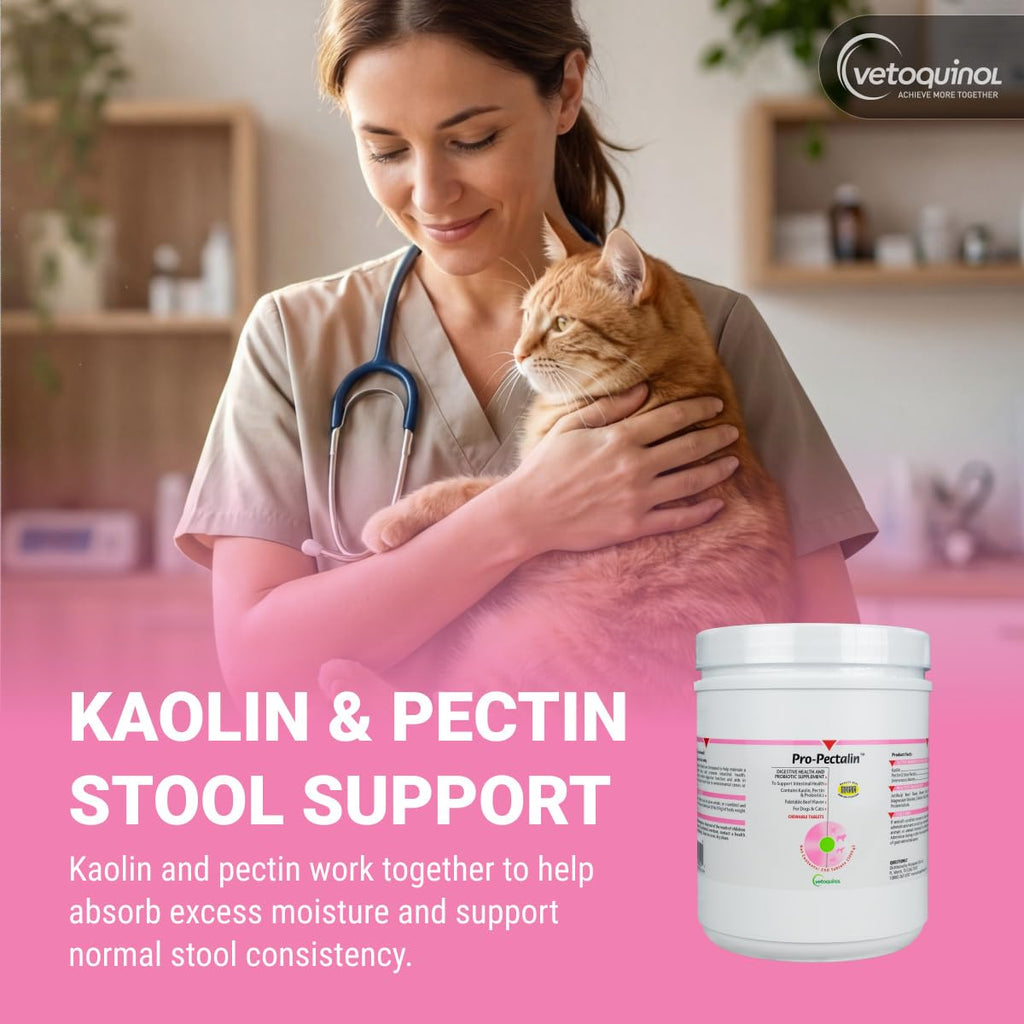 Chewable Probiotic for Pets 250 Count N12005