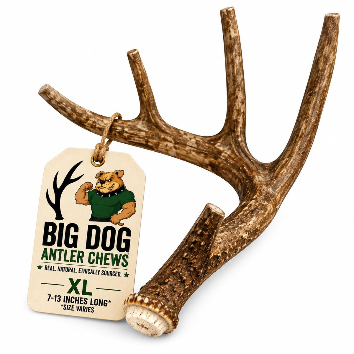 XL Deer Antler Dog Chew D8239