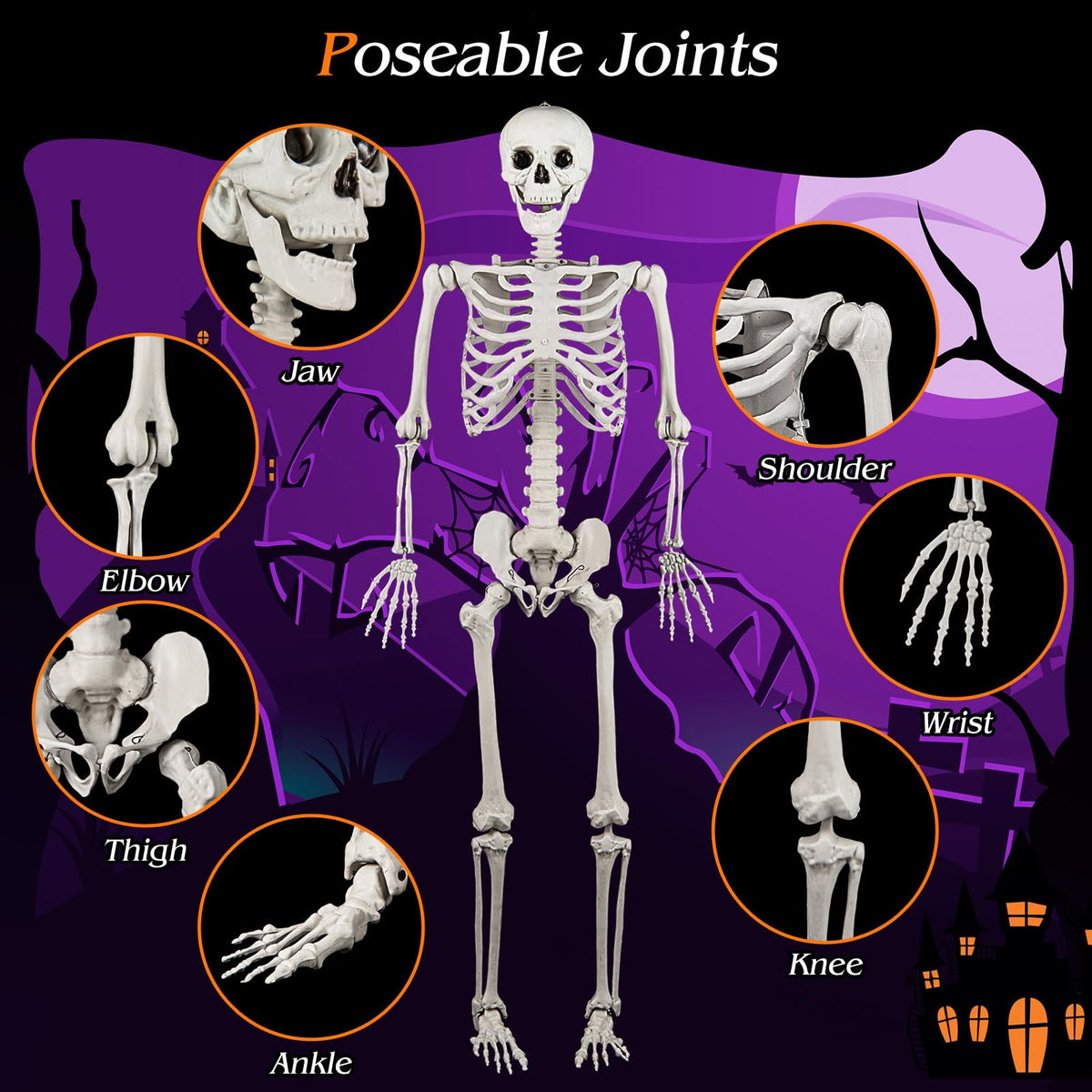 5.4 FT Life Size Posable Skeleton Decoration B499