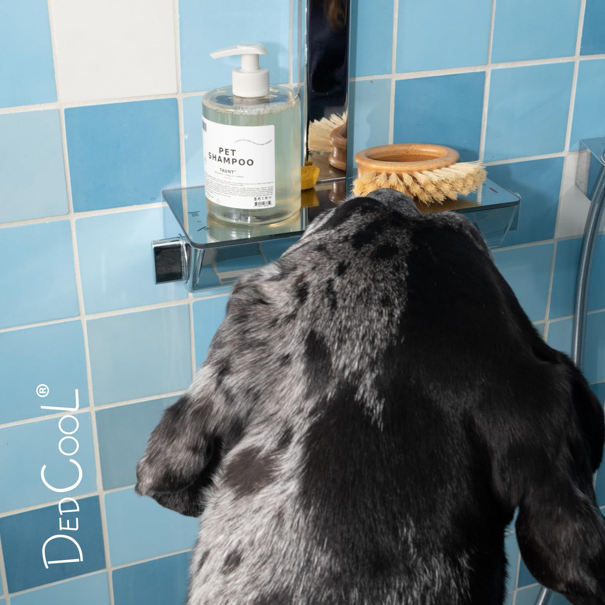Pet Shampoo 16.9 fl oz L60928
