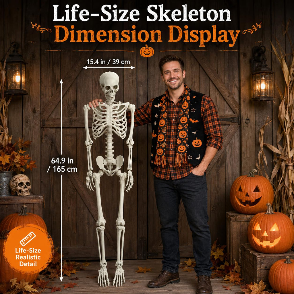 Life Size Poseable Skeleton with Movable Joints J6348