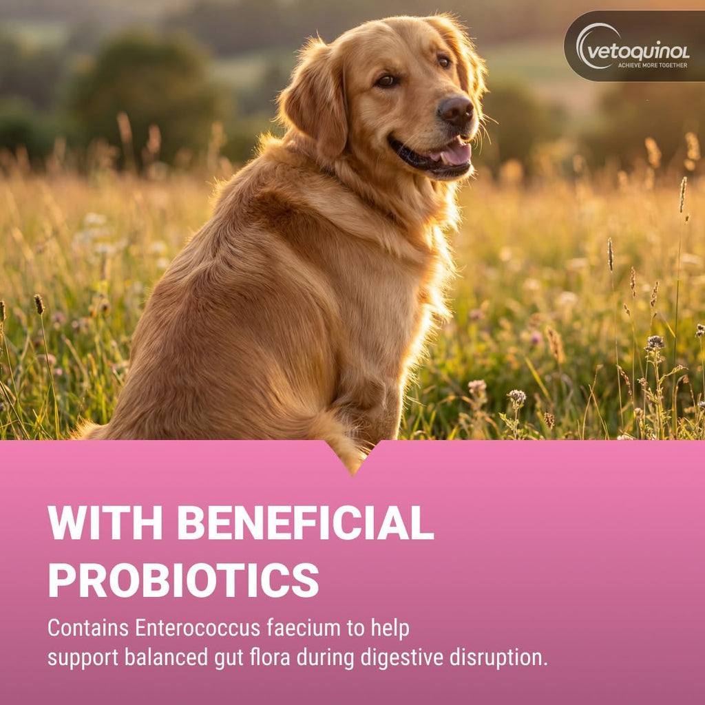 Chewable Probiotic for Pets 250 Count N12005