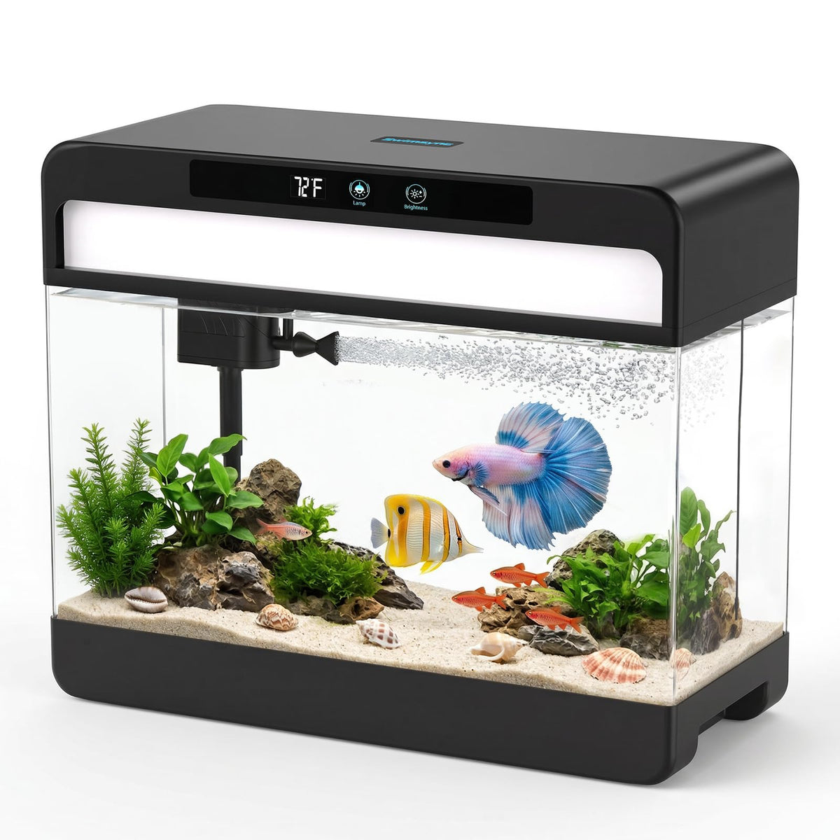 3 Gallon Black Aquarium Starter Kit U878