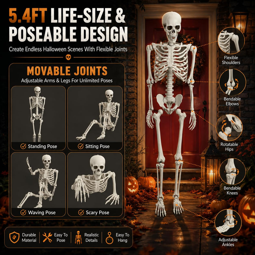 Life Size Poseable Skeleton with Movable Joints J6348