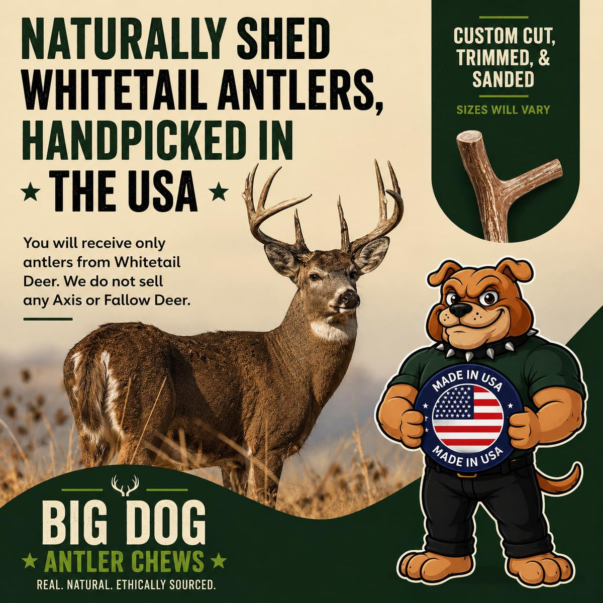 XL Deer Antler Dog Chew D8239