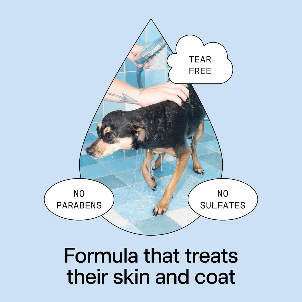 Pet Shampoo 16.9 fl oz L60928