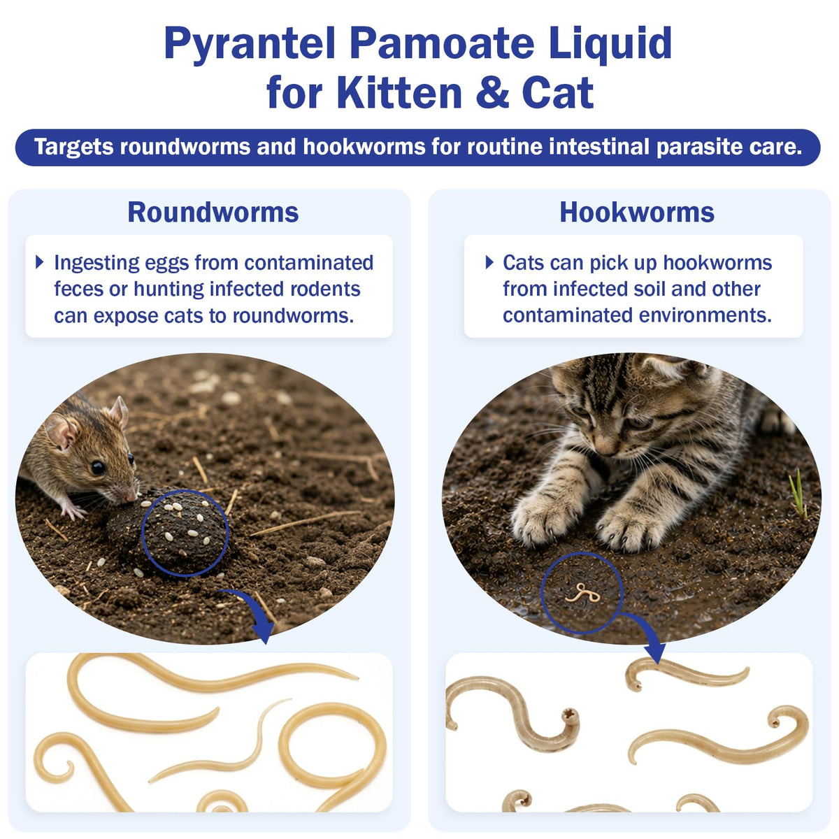 Pyrantel Pamoate Oral Dewormer for Cats & Kittens V949409