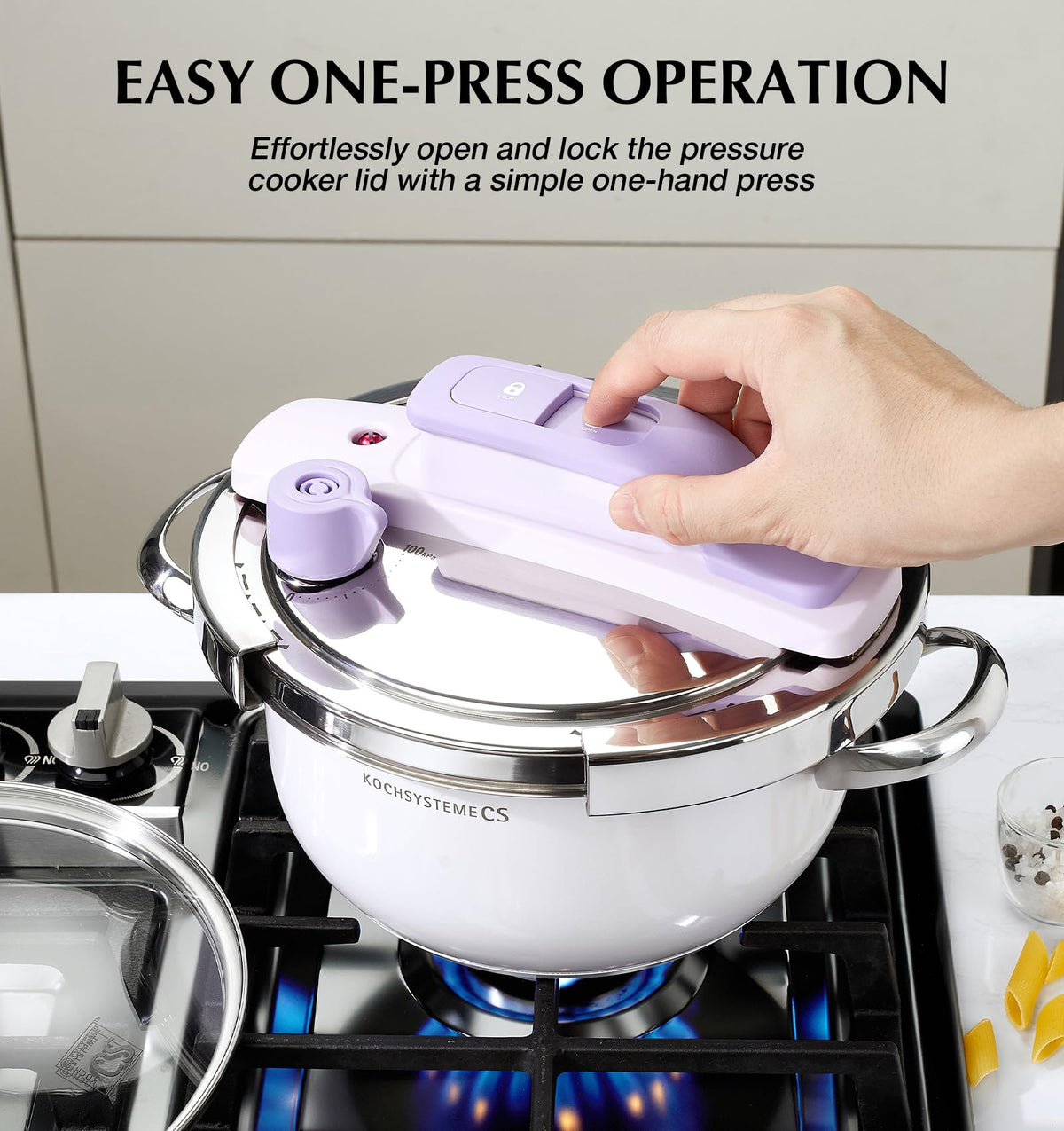 Small Stainless Steel Pressure Cooker 3.2 Quart S195