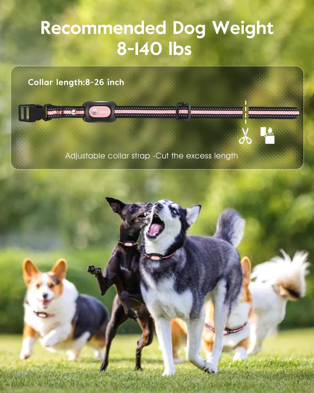Pink Dog Training Collar with Remote B30226