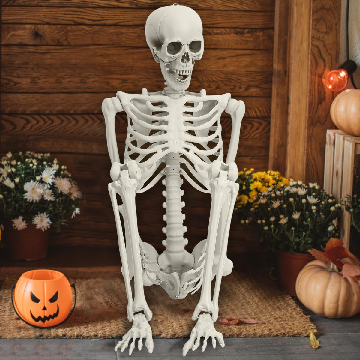 Life Size Poseable Skeleton with Movable Joints J6348