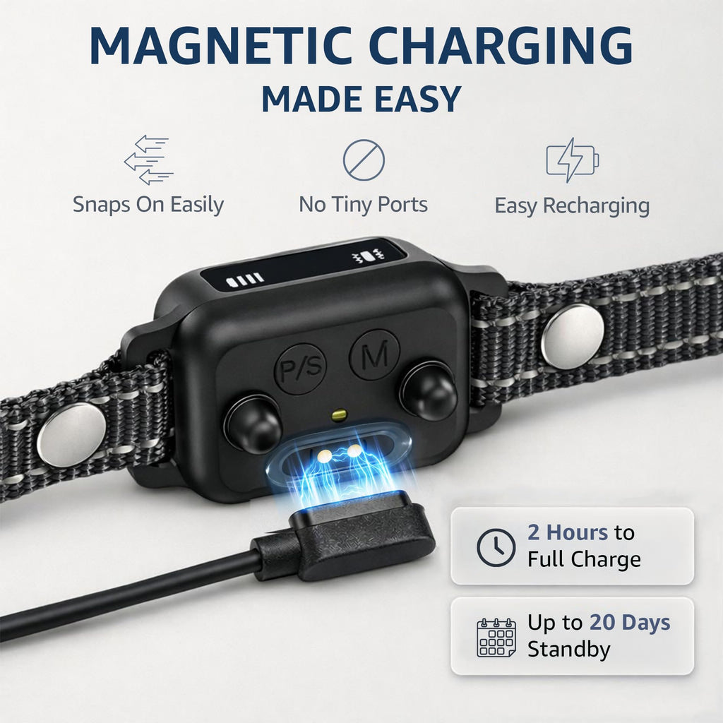 Small Dogs Bark Collar with Magnetic Charging W9080