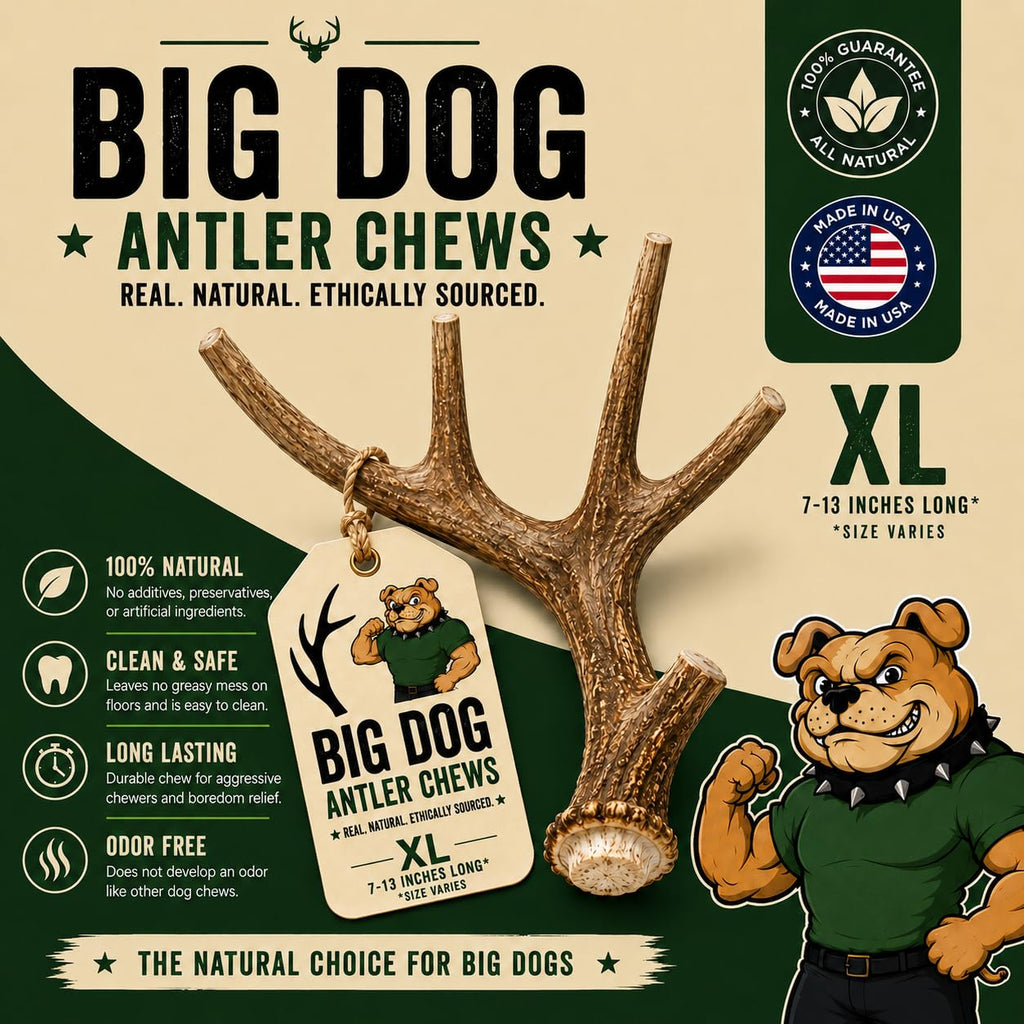 XL Deer Antler Dog Chew D8239
