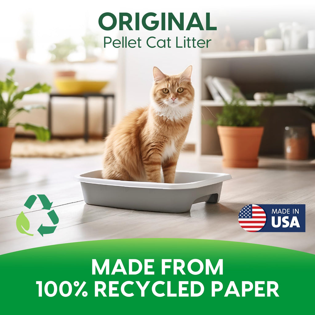 Recycled Paper Cat Litter, 12 Pound, Non-Clumping, Unscented P38082