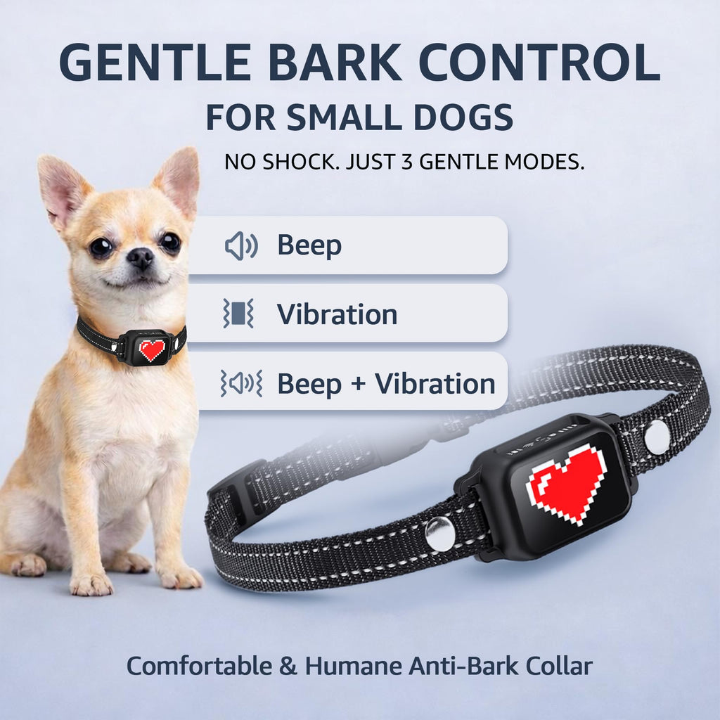 Small Dogs Bark Collar with Magnetic Charging W9080