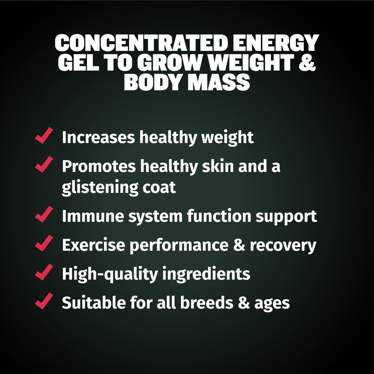 High-Calorie Liquid Weight Gainer & Soft Chews for Dogs C393