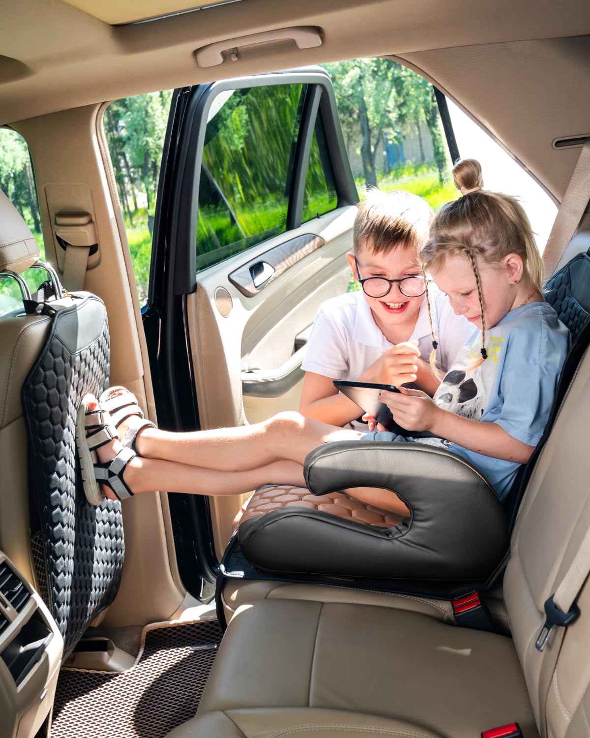 Black-Brown Backless Booster, Waterproof Seat Protector & Backseat Organizer I534115