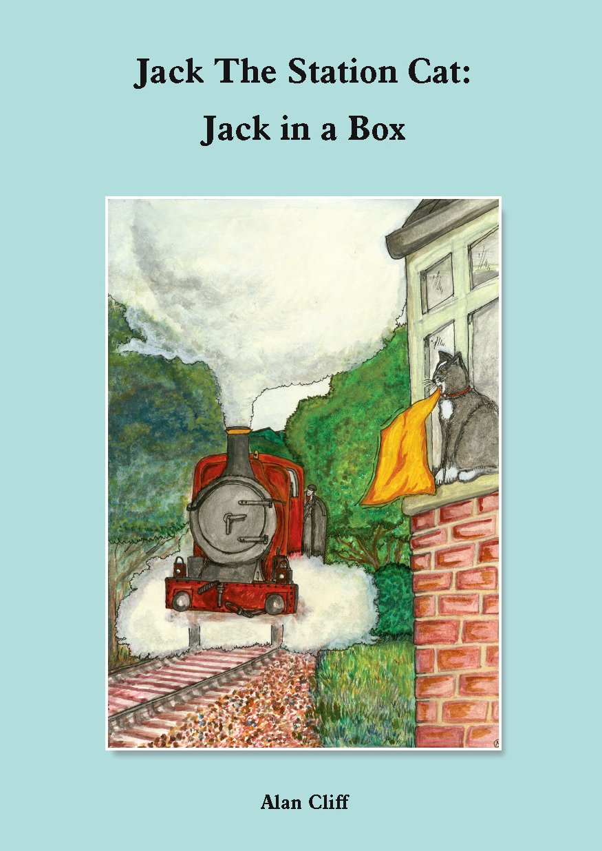Station Cat in a Box A41134