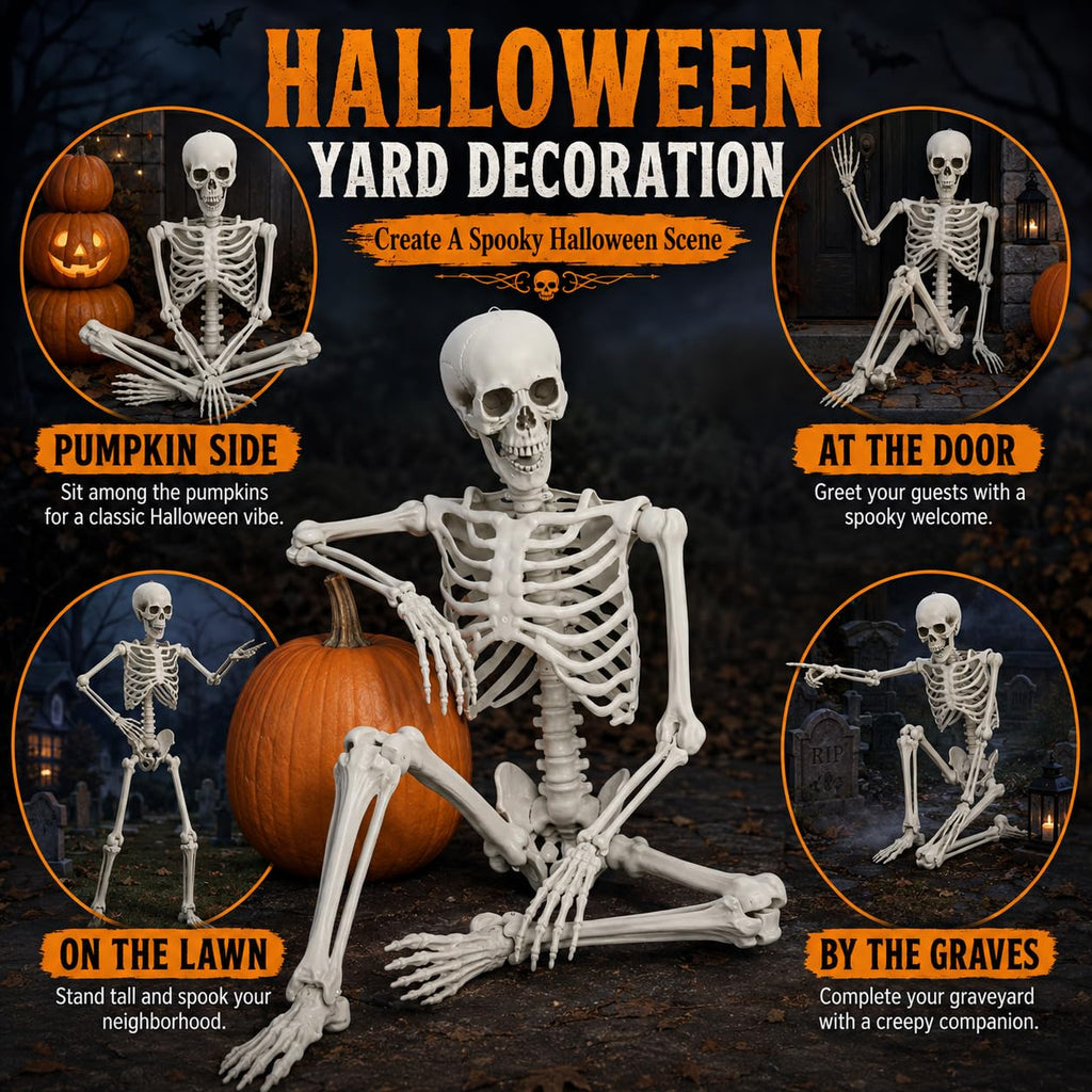 Life Size Poseable Skeleton with Movable Joints J6348