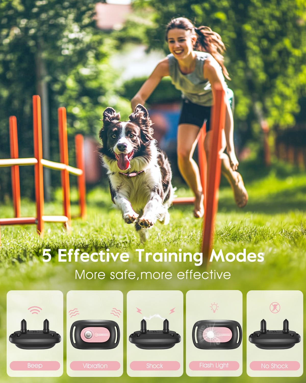Pink Dog Training Collar with Remote B30226