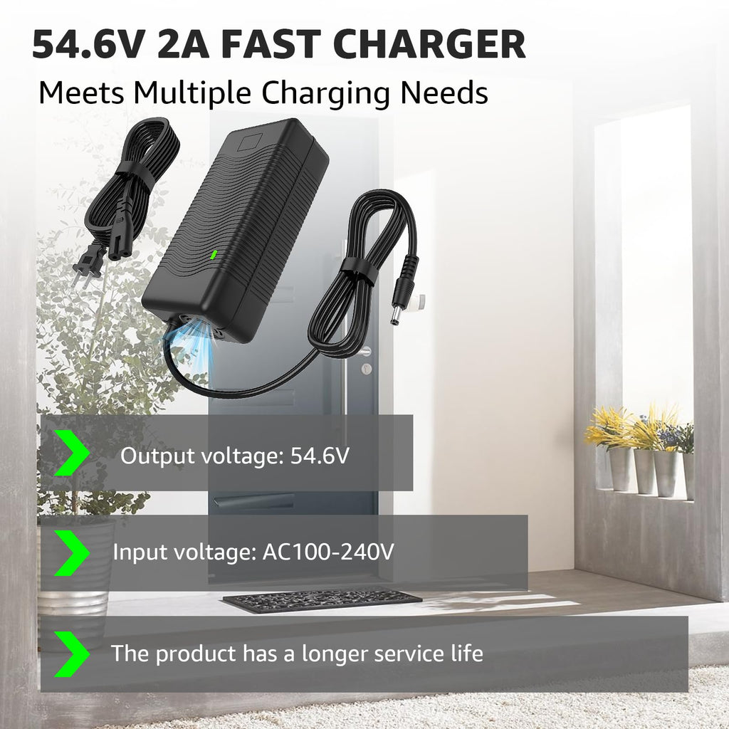 54.6V 2A Electric Bike Charger T669