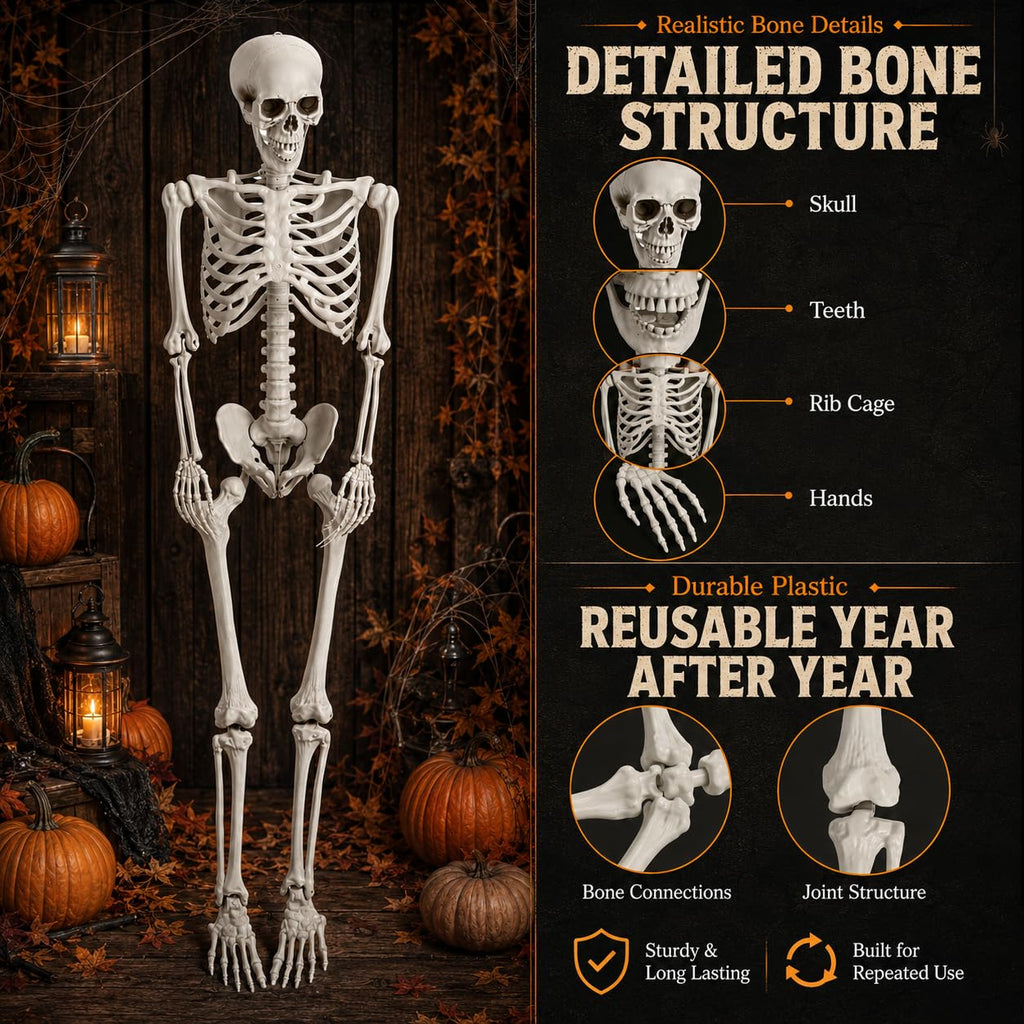 Life Size Poseable Skeleton with Movable Joints J6348