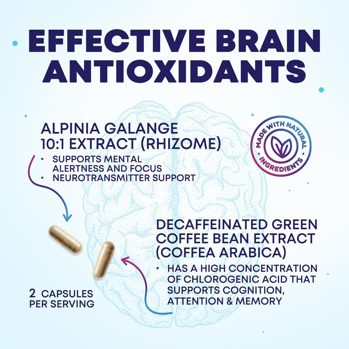 Brain Memory Supplement Pills 240 Capsules J7297