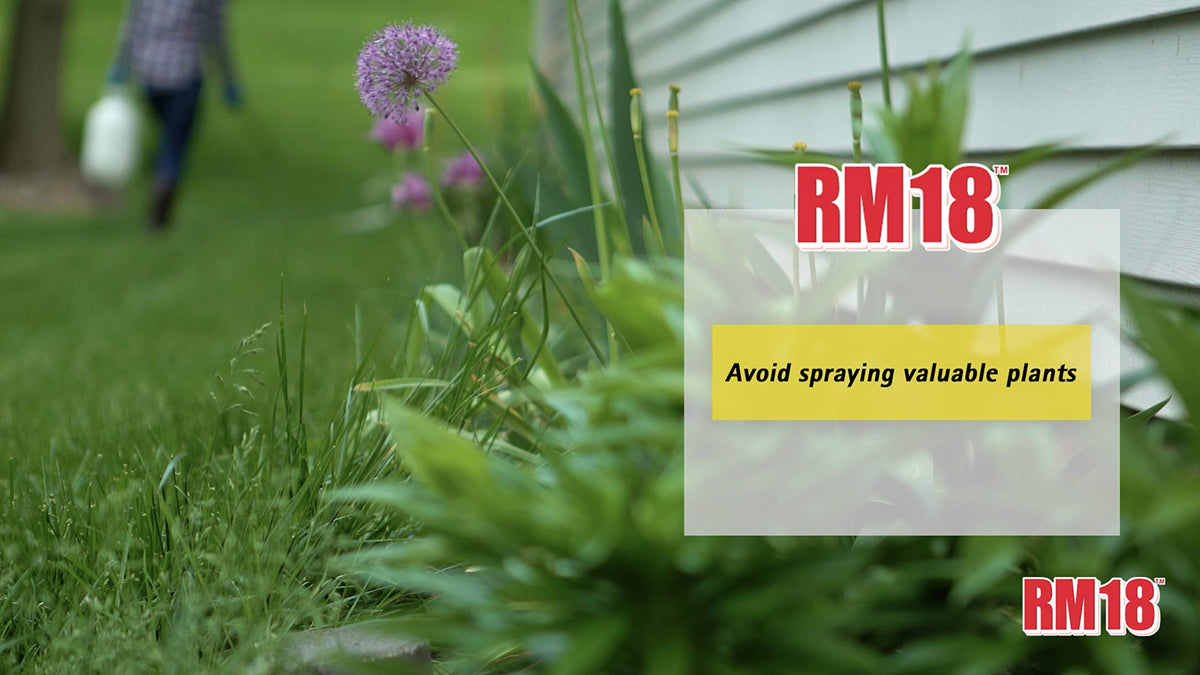 Fast-Acting Weed and Grass Killer, 64-ounce U602