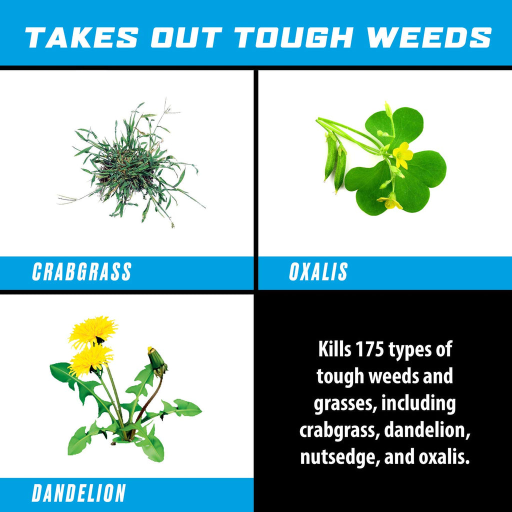 Weed & Grass Killer Refill 1 gal. S881