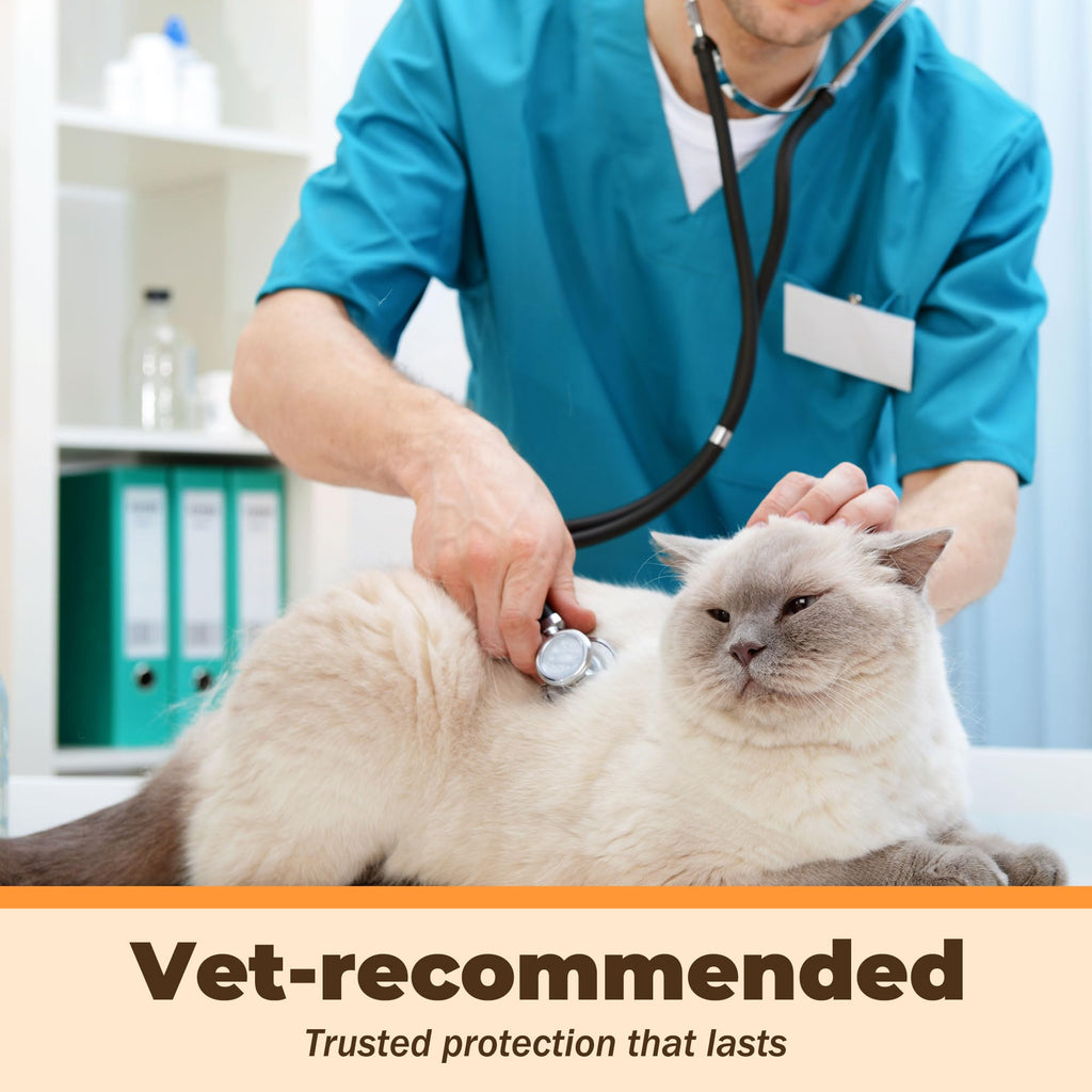 Fenbendazole Liquid 10% Dewormer 150ml I62005