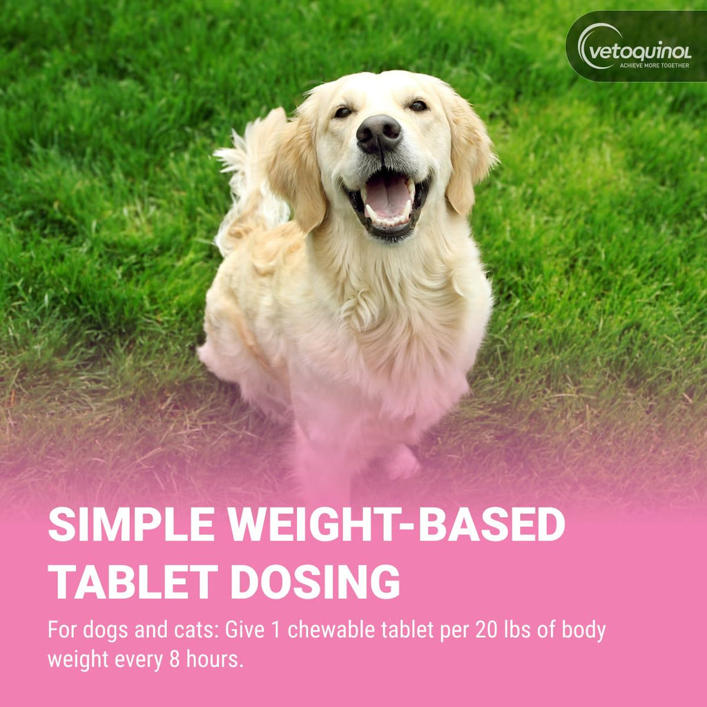 Chewable Probiotic for Pets 250 Count N12005