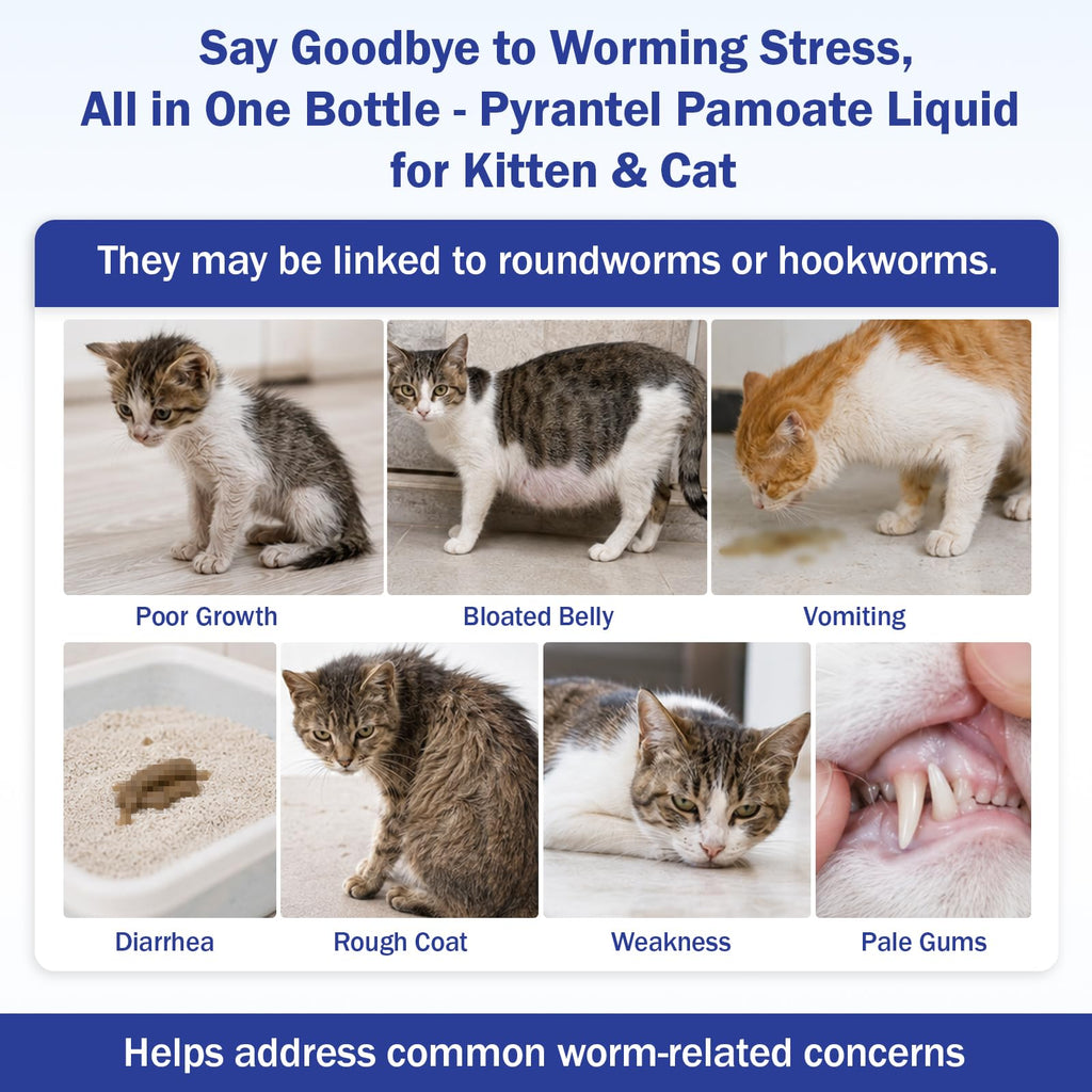 Pyrantel Pamoate Oral Dewormer for Cats & Kittens V949409