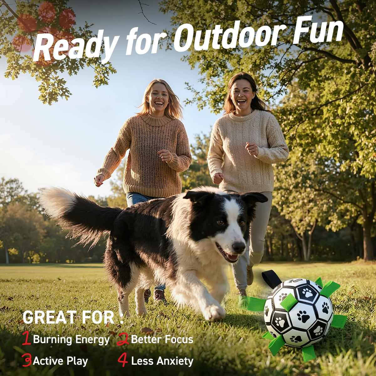 6 Inch Dog Soccer Ball with Straps N55784