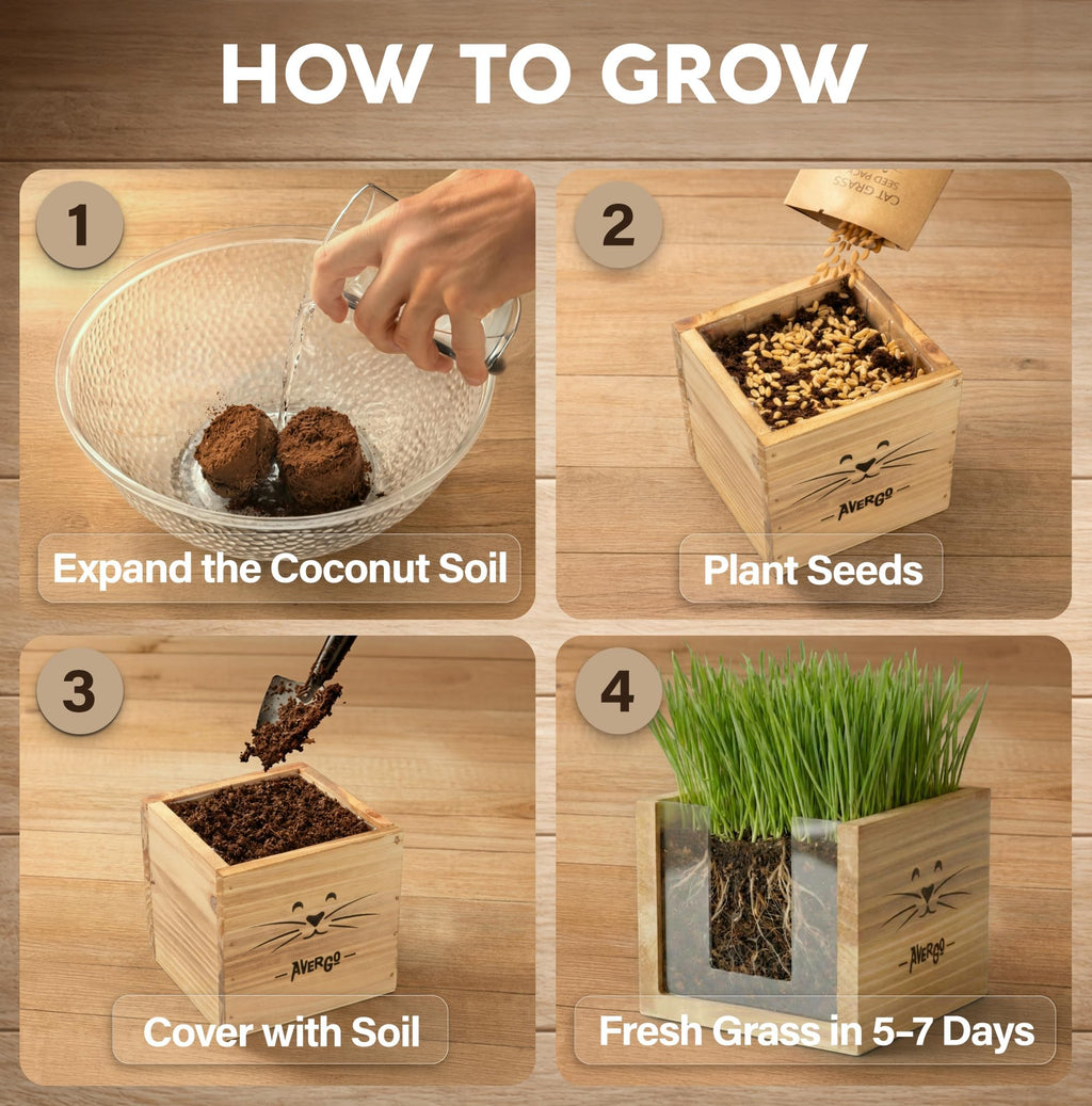 Cat Grass Kit with 2 Seed Packets B119