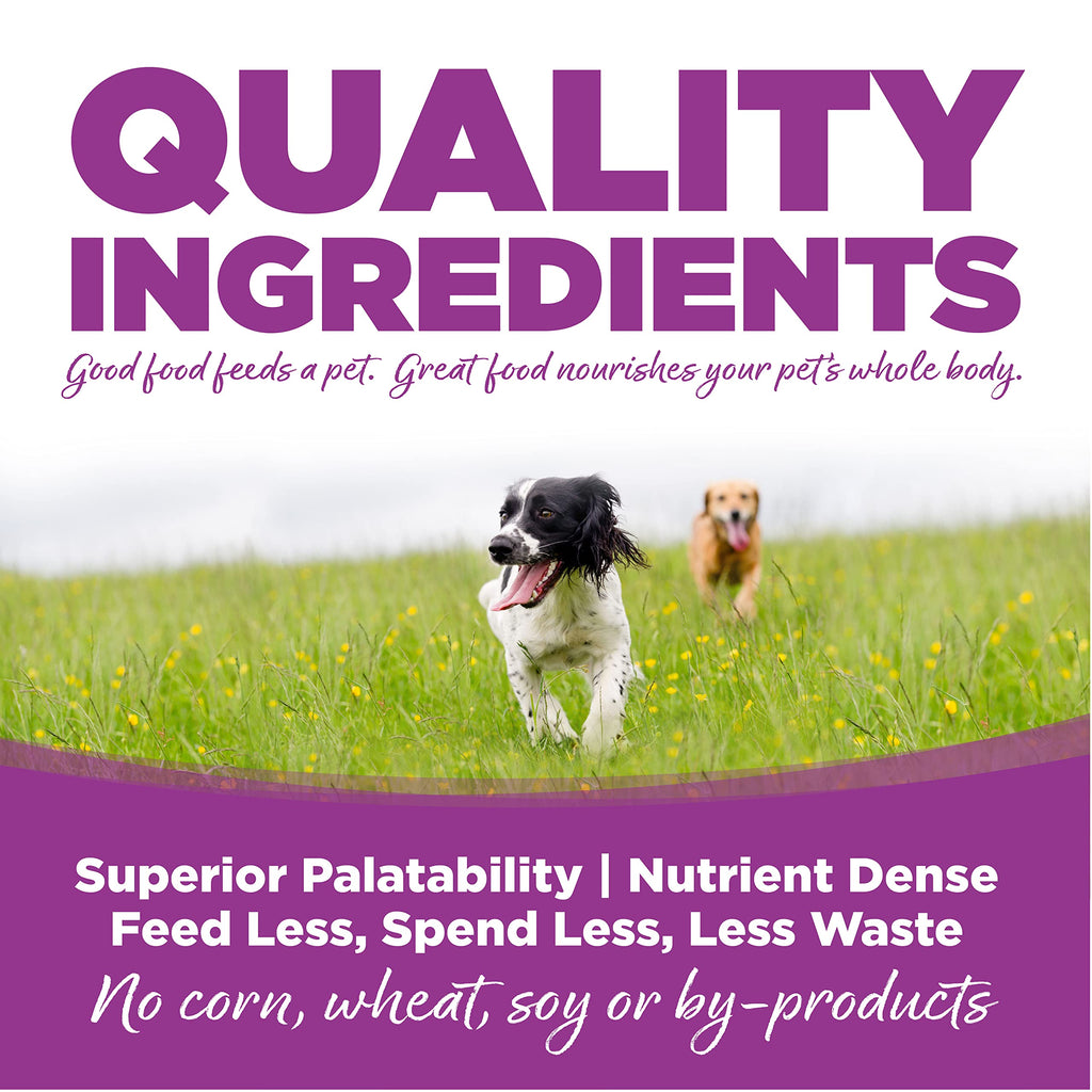 Large Breed Puppy Chicken & Rice Dry Dog Food 26 lb H636403