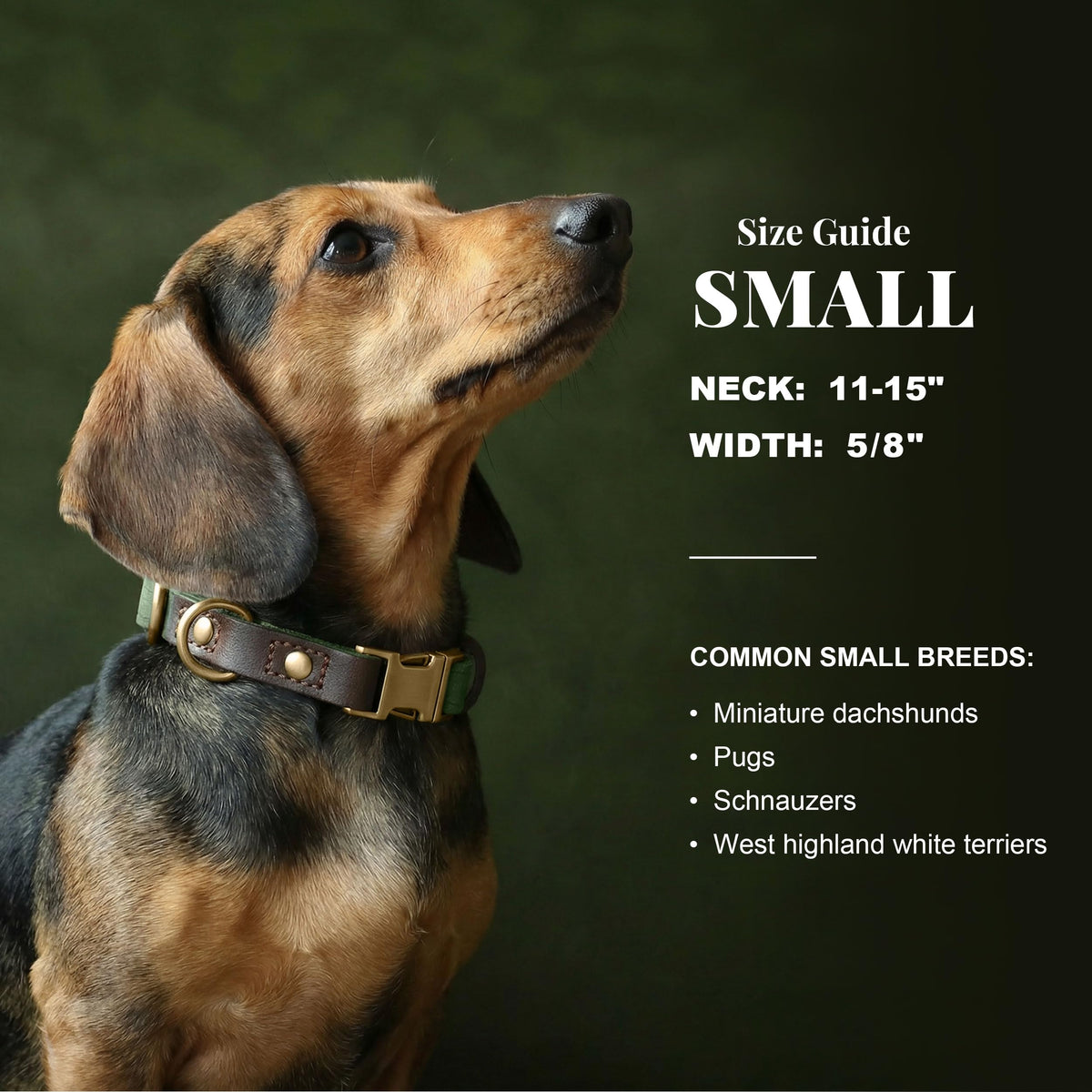 PU Leather Dog Collar U3436
