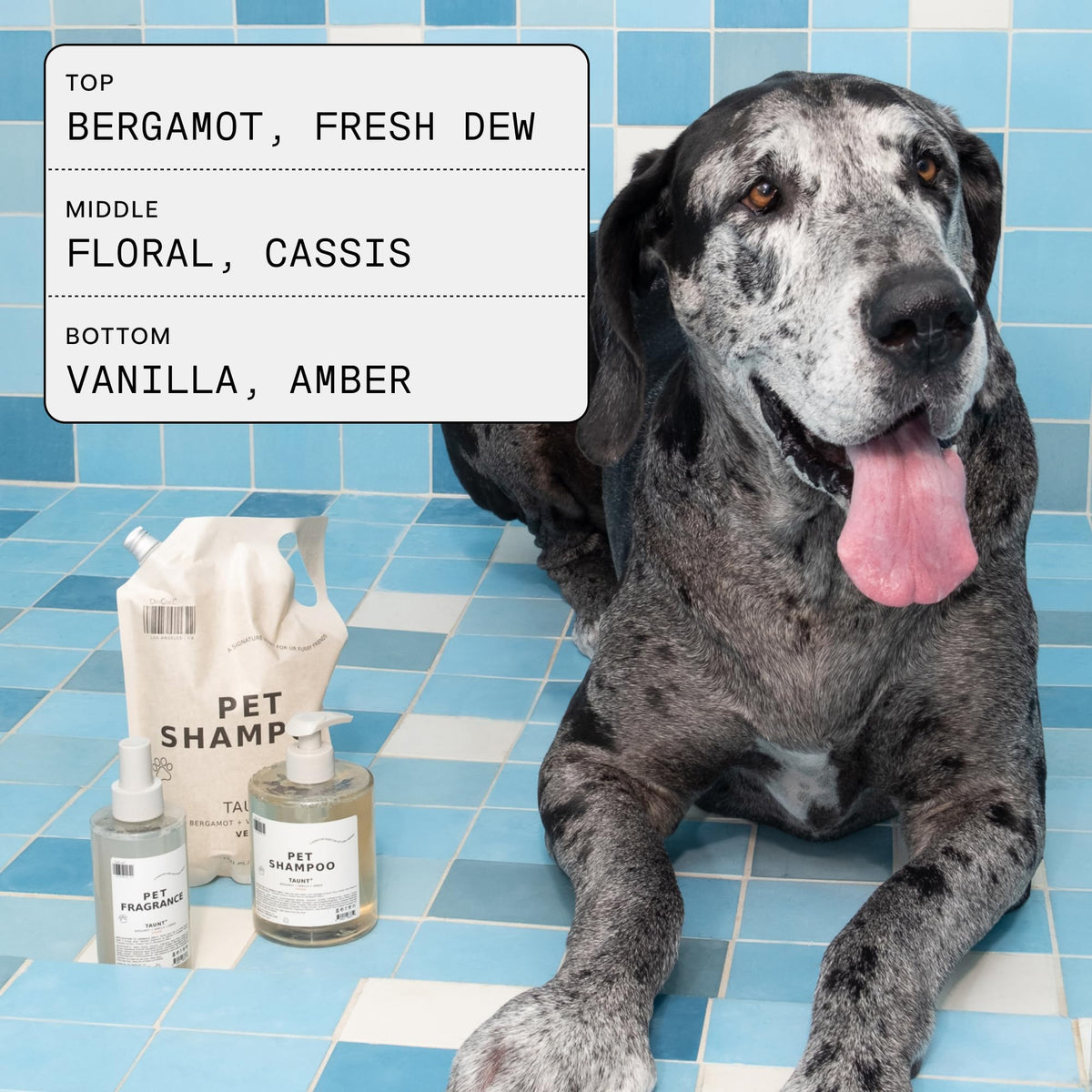 Pet Shampoo 16.9 fl oz L60928