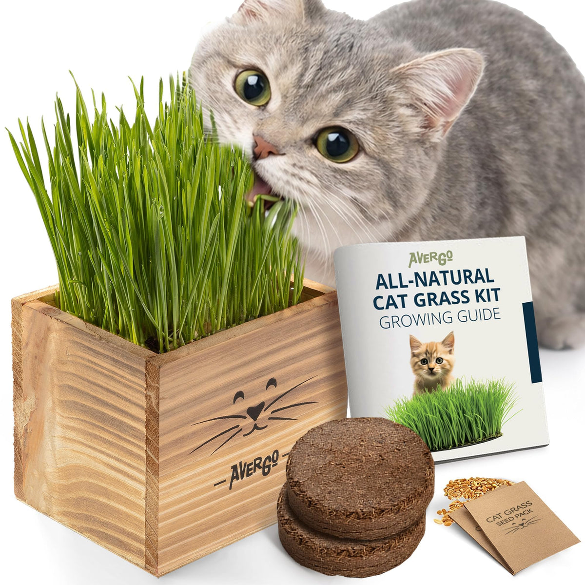 Cat Grass Kit with 2 Seed Packets B119