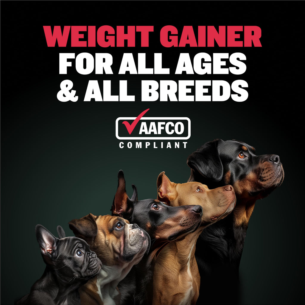 High-Calorie Liquid Weight Gainer & Soft Chews for Dogs C393
