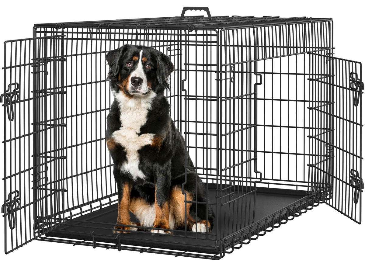 48 inch Collapsible Metal Dog Crate with Divider Y32438