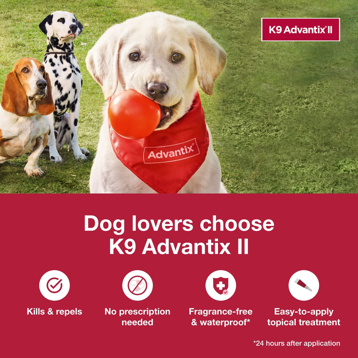 K9 Advantix II Small Dog 2-Mo Supply 60 Count F68953