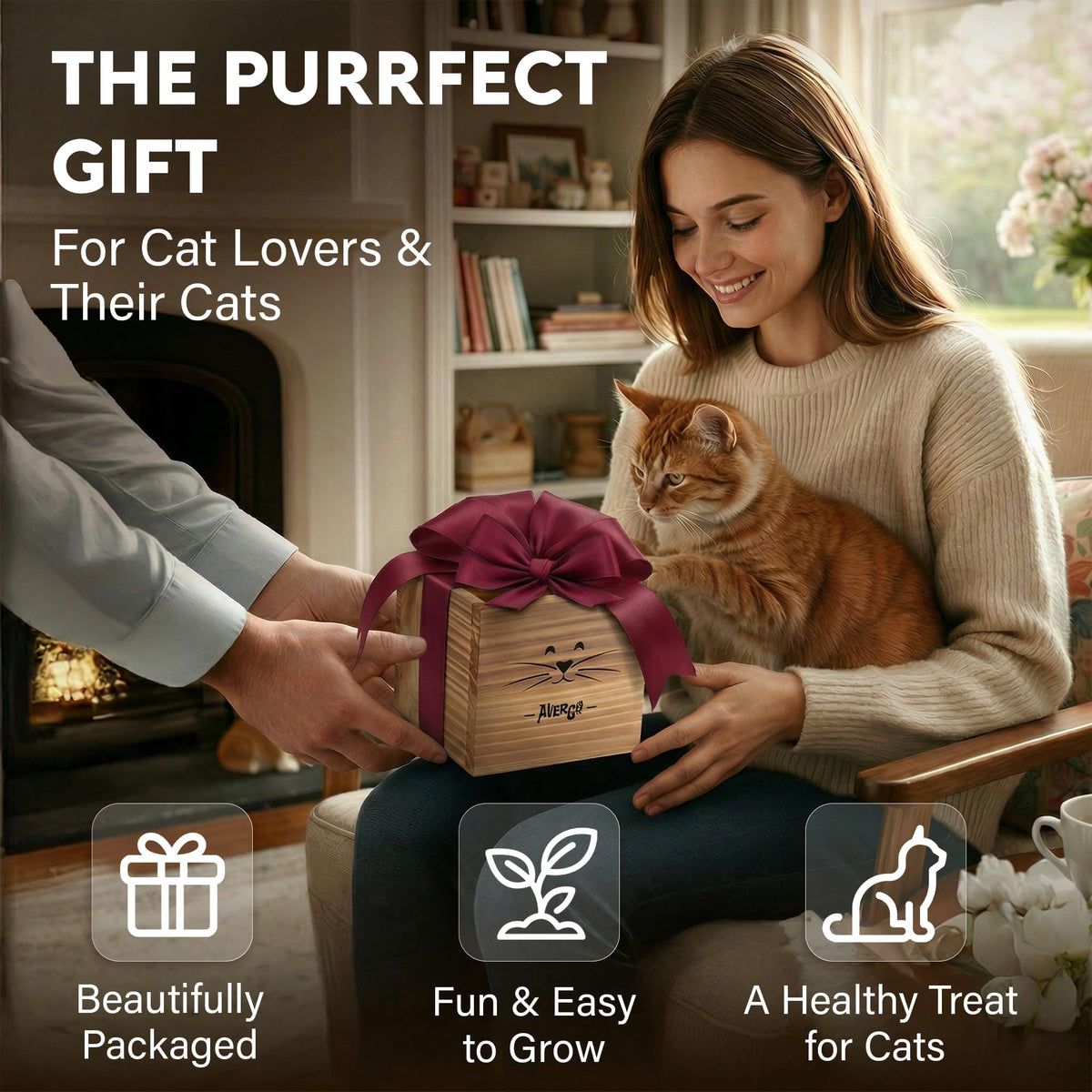 Cat Grass Kit with 2 Seed Packets B119