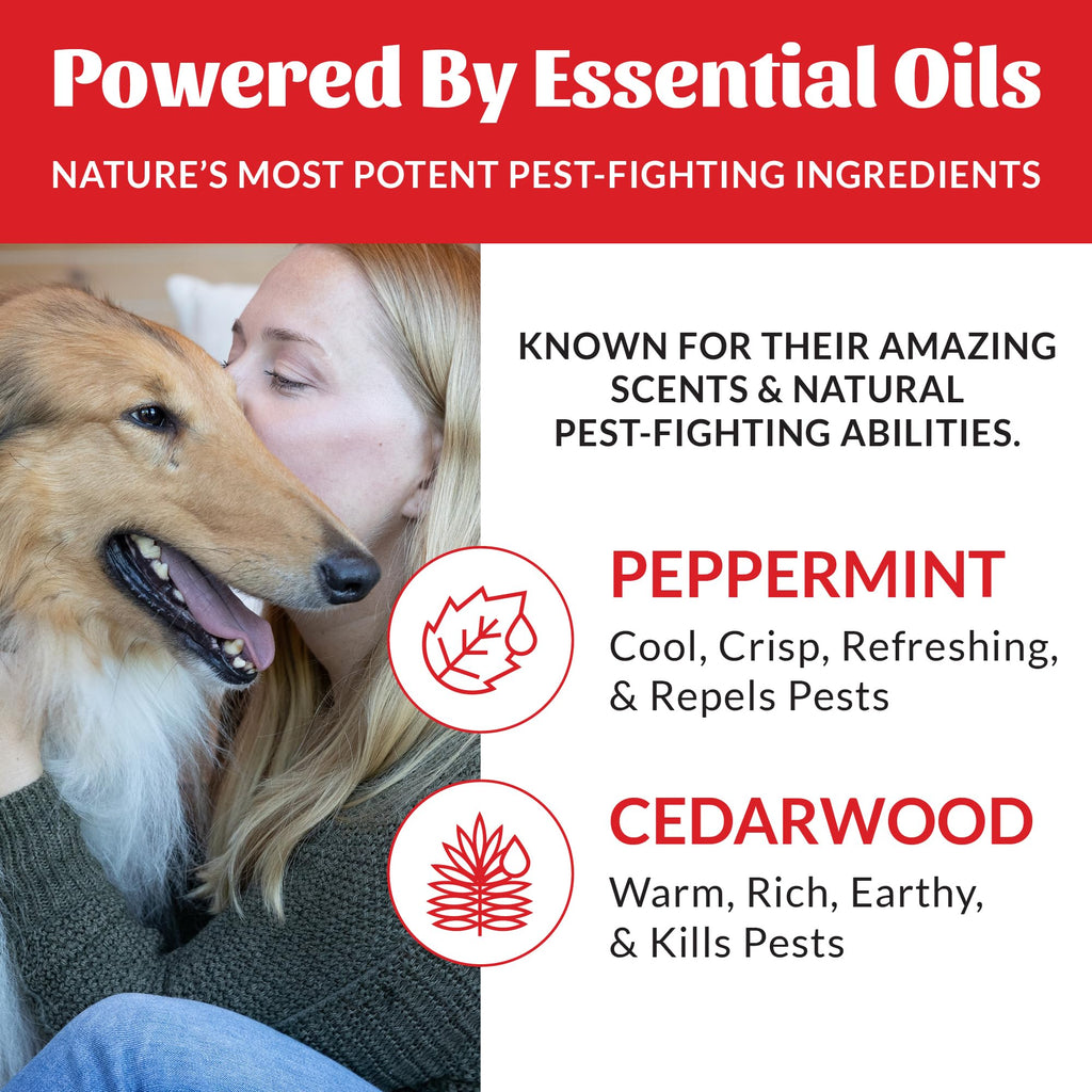 Natural Flea and Tick Dog Shampoo 16 oz K161520